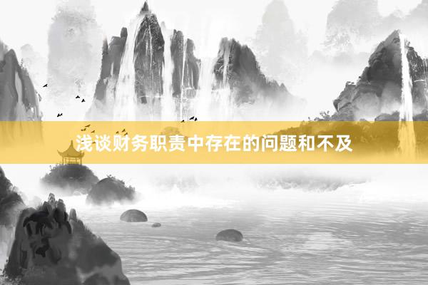 浅谈财务职责中存在的问题和不及